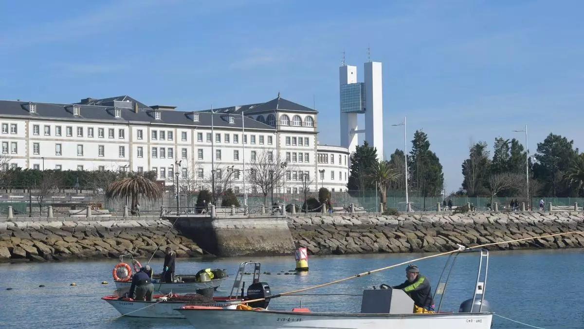 La almeja contaminada retirada ante el de O Parrote, en A Coruña, suma más de 5.300 kilos