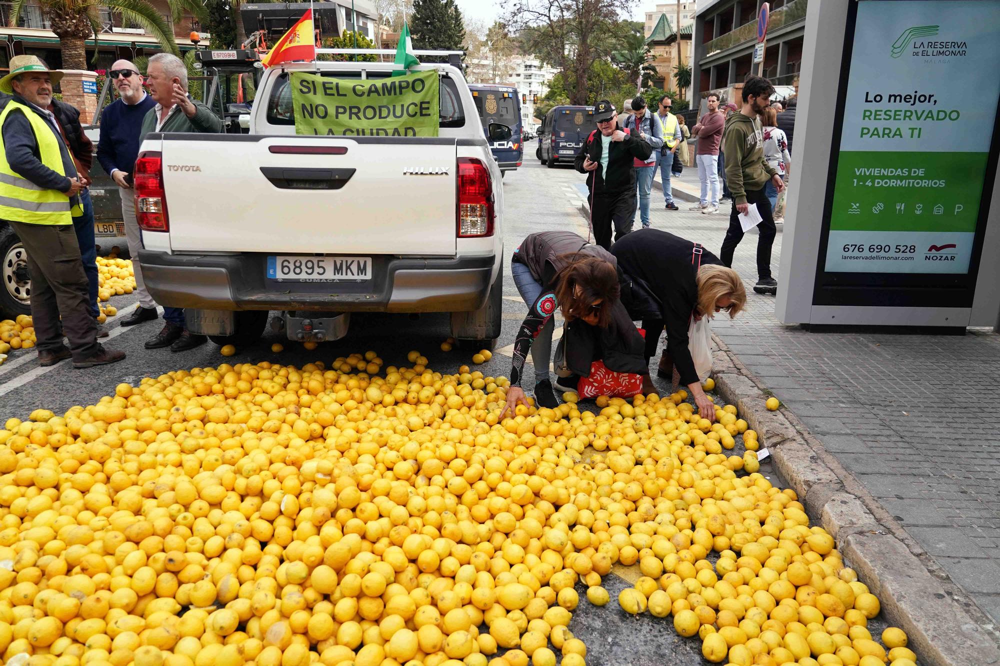 Concentración de agricultores en las puertas de la Subdelegación de Gobierno de Málaga, en el Paseo de Sancha.