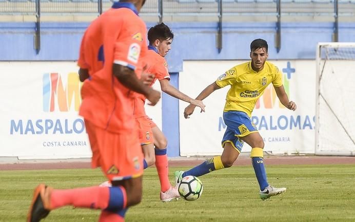 PARTIDILLO UDLP- UDLP C