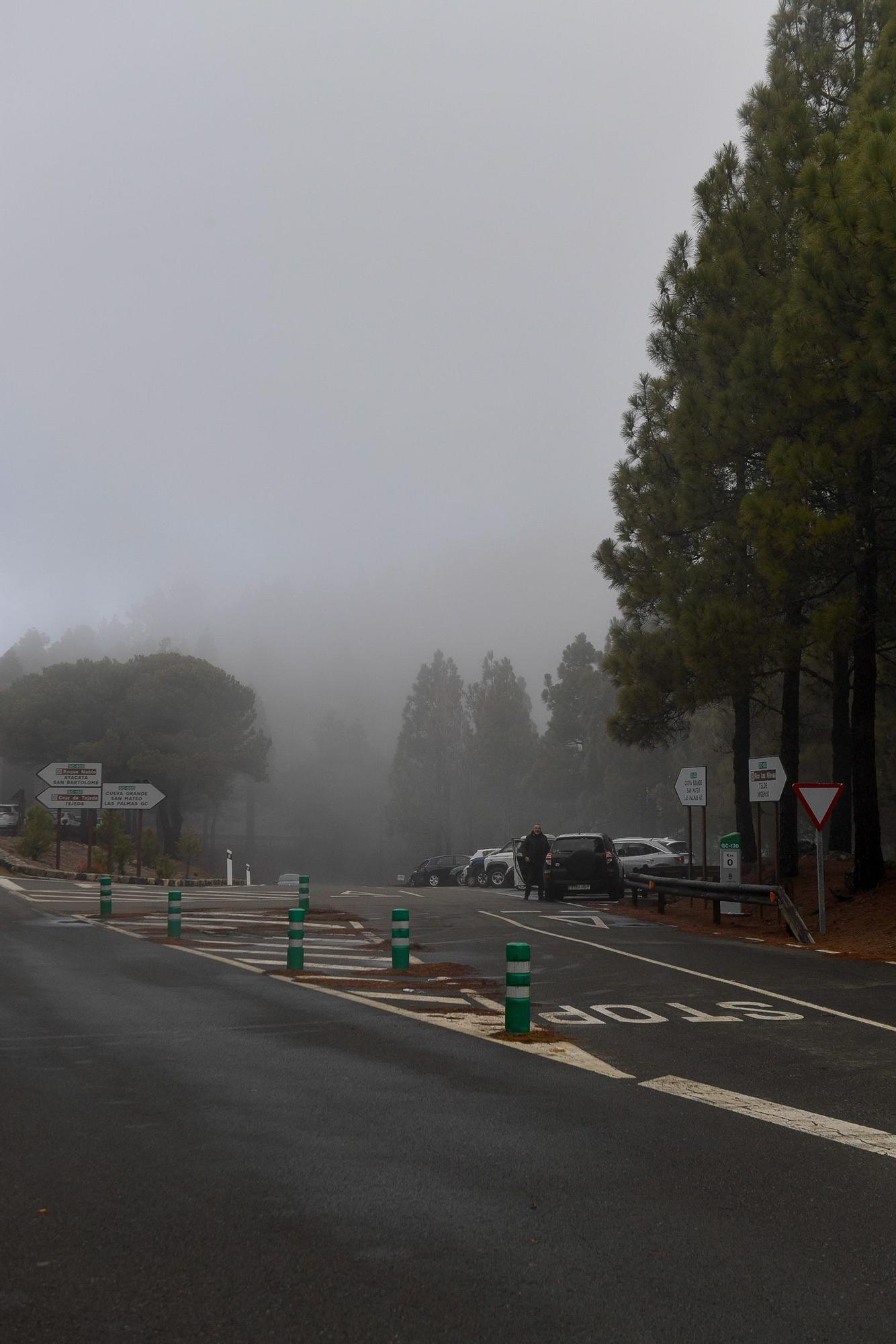 Nevada en Gran Canaria (16/02/23)