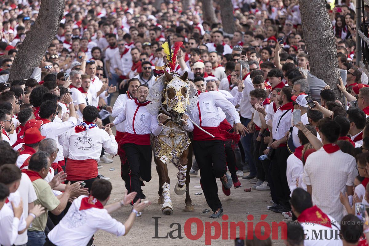 Así se ha vivido la carrera de Los Caballos del Vino en Caravaca