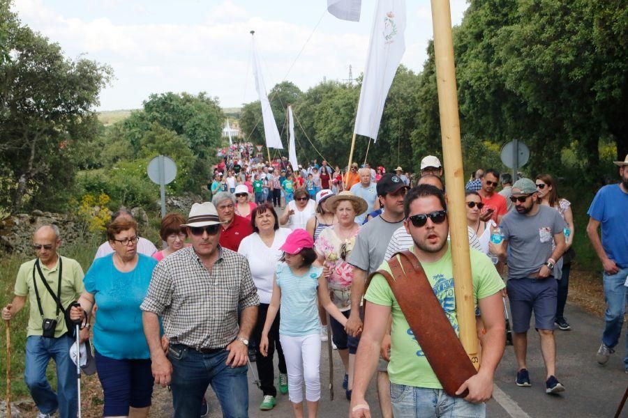 Romería de la Virgen del Castillo en Fariza