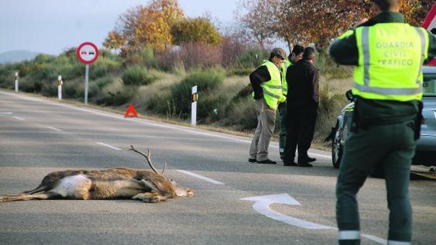 Mientras se elabora el atestado del suceso un guardia civil toma fotos para completar la documentación.