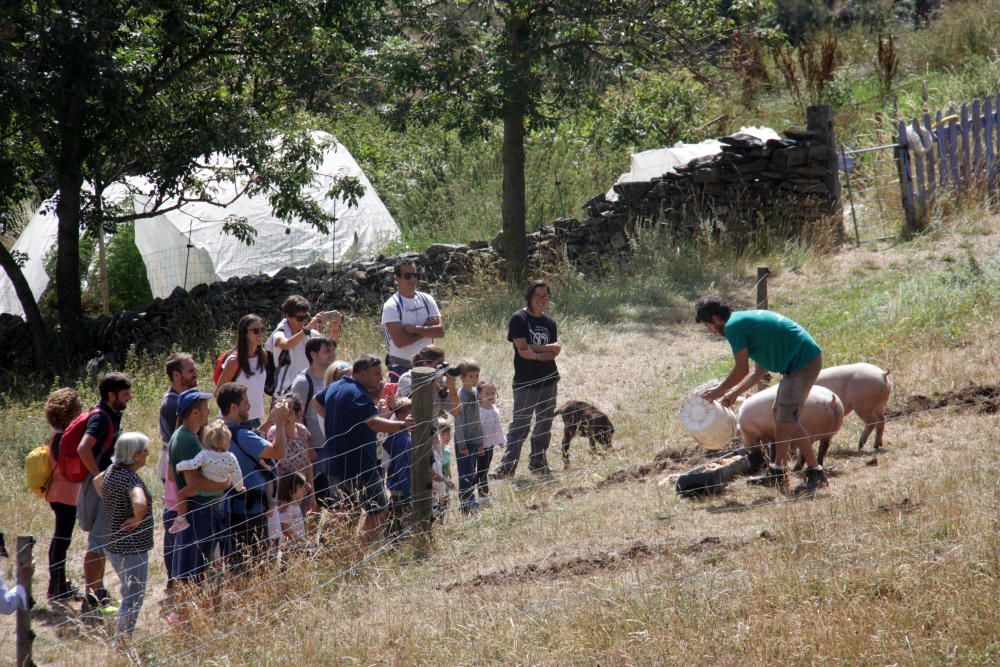 Tercera edició de les Visites a pagès de la Cerdanya