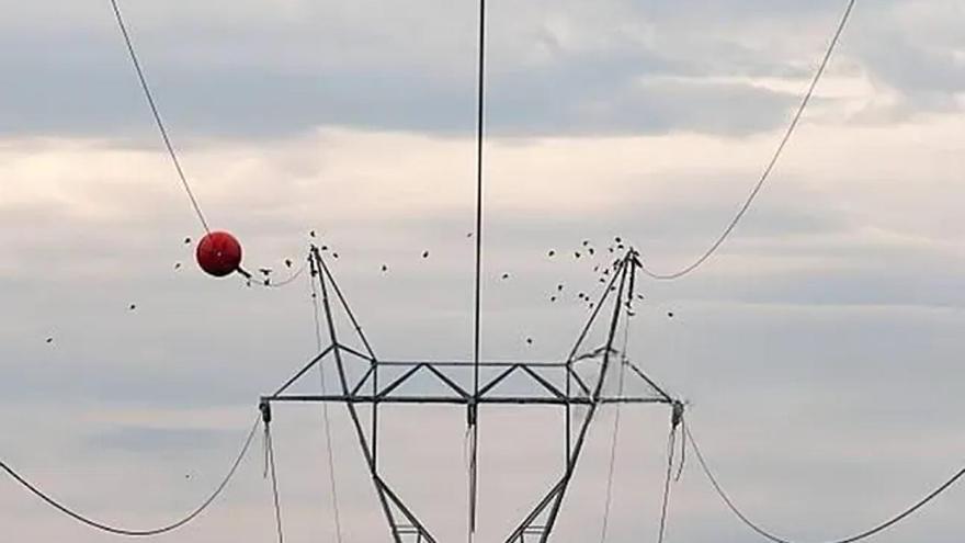 Este es el importante motivo por el que hay bolas rojas en los cables de alta tensión