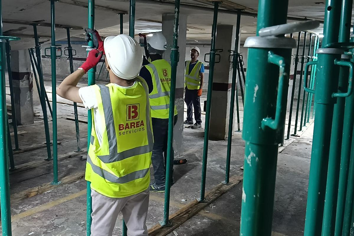 Profesionales de Barea Servicios.