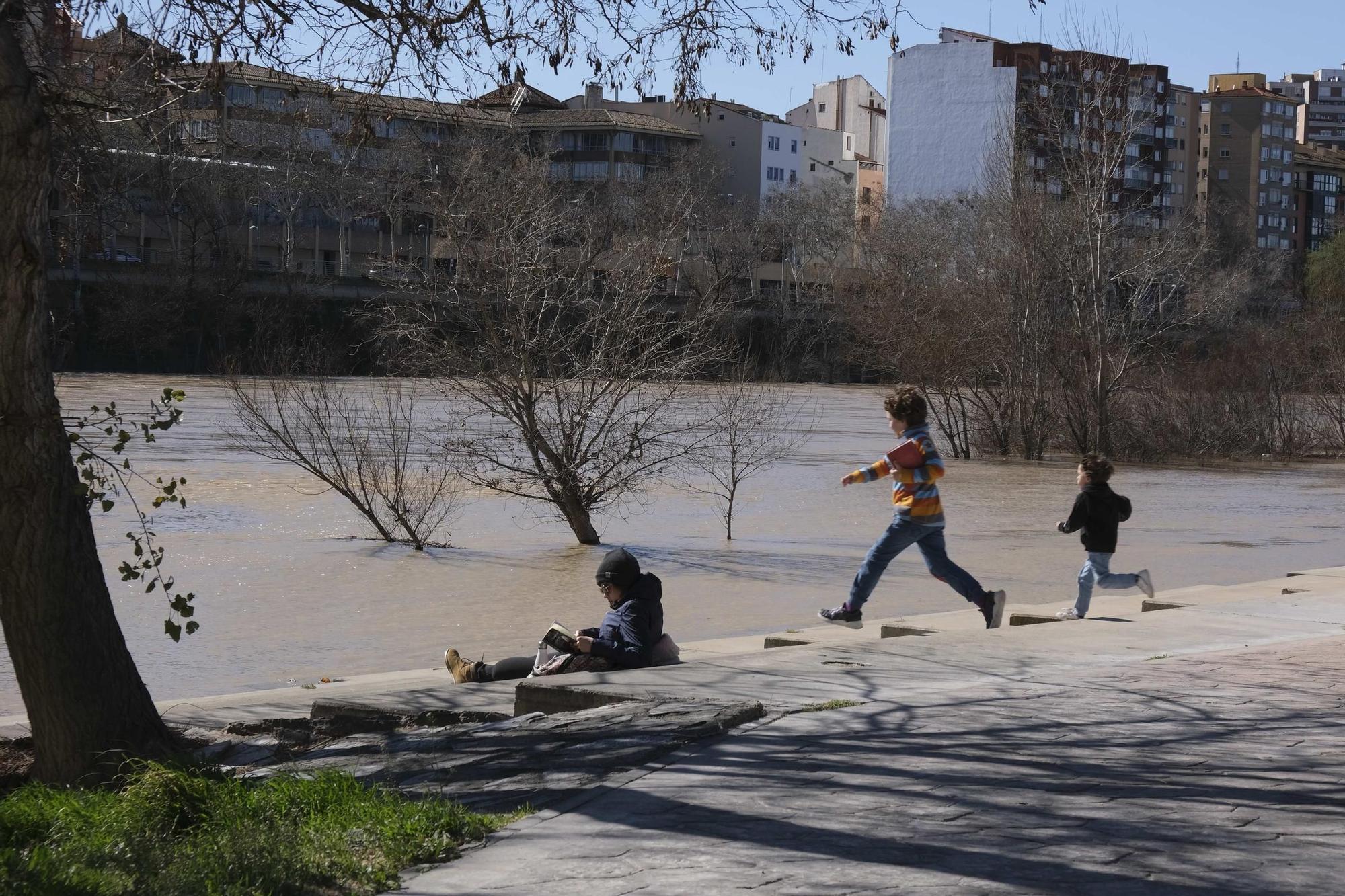 En imágenes | La crecida del Ebro se empieza a notar en Aragón