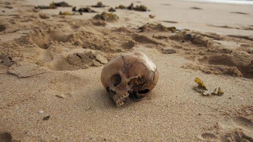 El cráneo apareció en esta playa del norte de la ciudad australia en septiembre del año pasado.