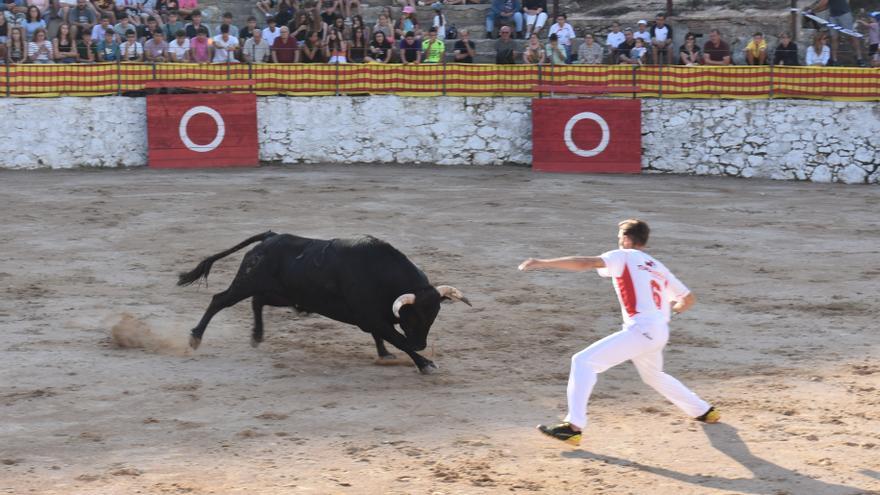 Éxito del concurso de recortadores con Toropasión y los mejores recortadores de España en Morella