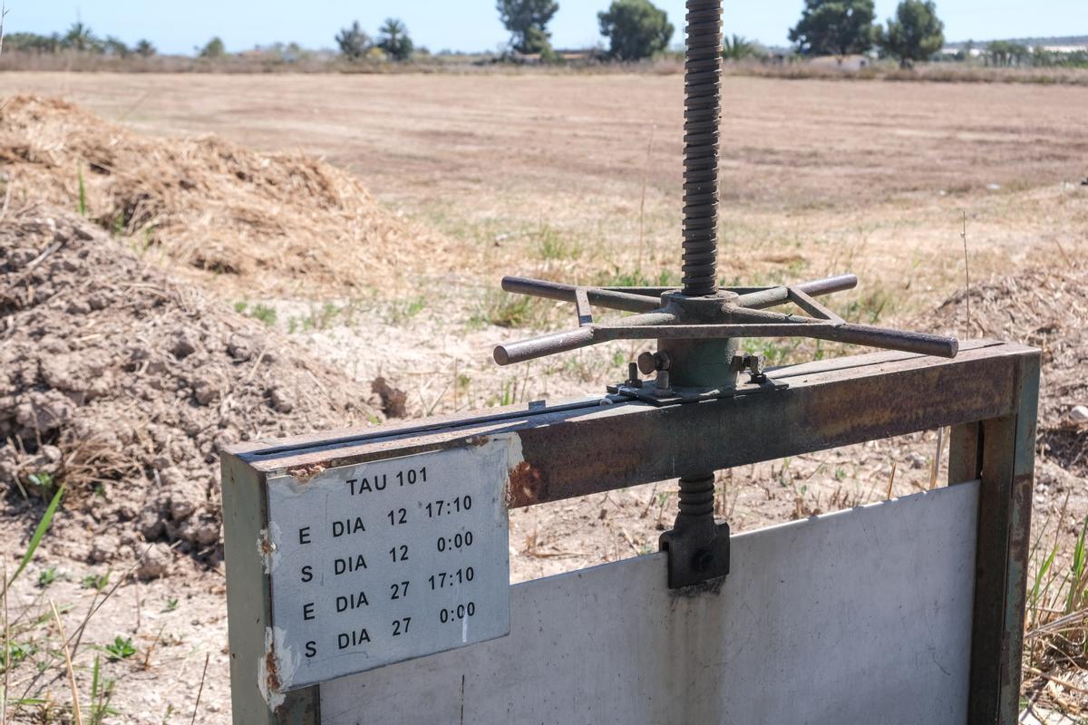 Las restricciones hídricas aumentan en la Vega Baja por la sequía.