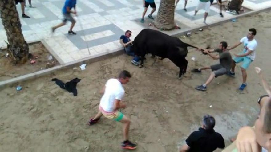 Un hombre fallece corneado por un toro en el Grao de Castelló