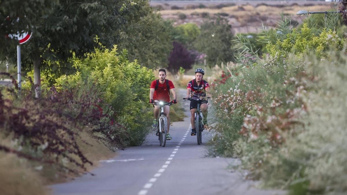 Dos ciclistas, obligados a circular por la mitad del carril bici, invadiendo el sentido contrario, ante la cantidad de vegetación