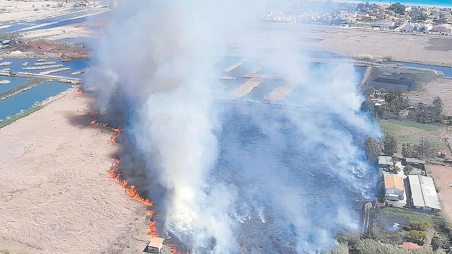 La marjal de l’Almardà de Sagunt acumula seis incendios en 40 días