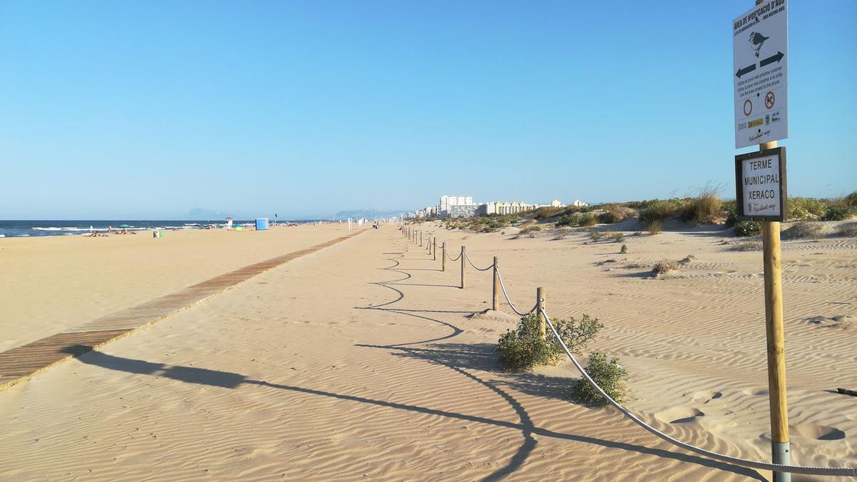 El tramo de playa enconflicto entre Gandia y Xeraco, en una imagen de archivo.