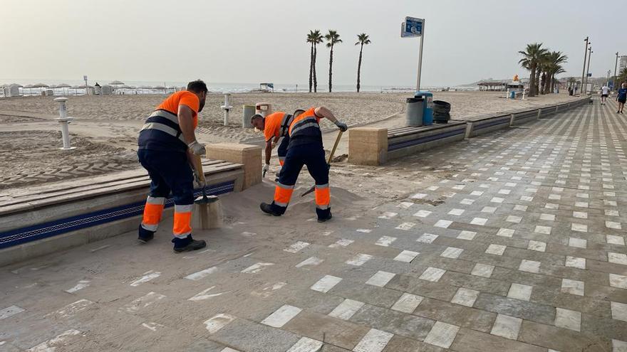 La recogida de algas y la reafirmación de la arena centran los trabajos de limpieza en las playas tras la DANA