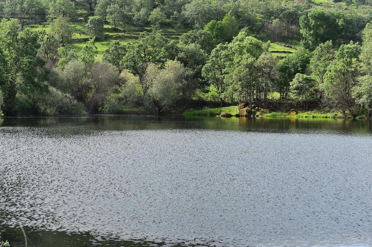 Fotogalería | Imágenes de la presa que abastece a Villar y Oliva de Plasencia
