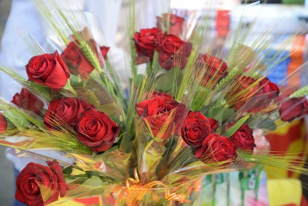 Palma se viste de libros por Sant Jordi