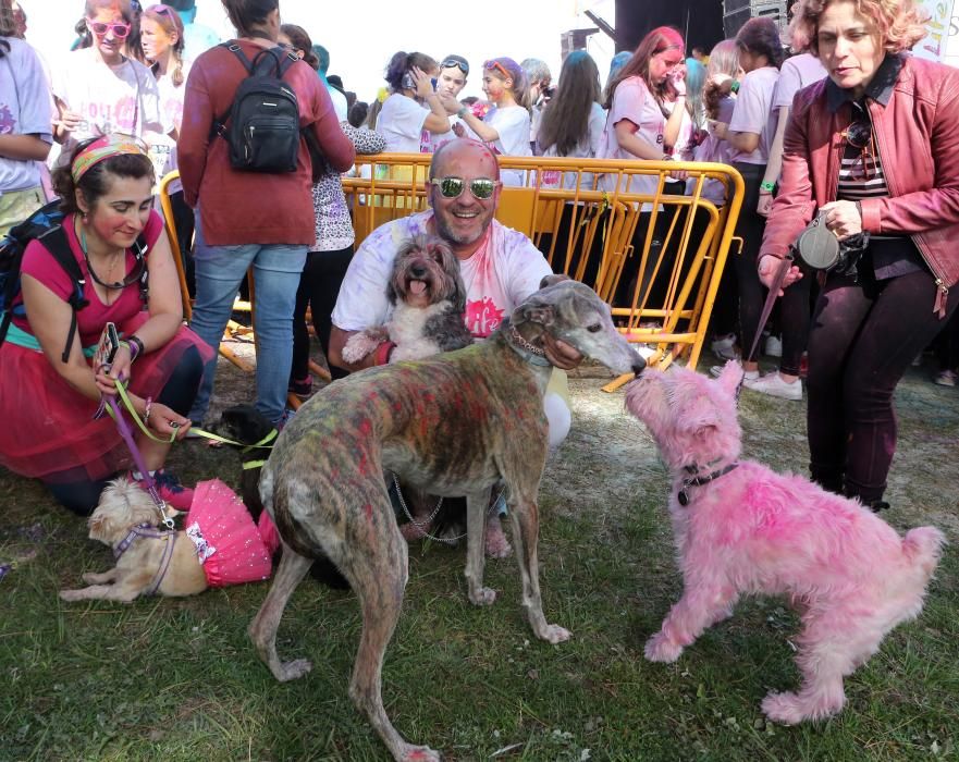 Miles de "corredores" participan en una nueva edición de la Holi Run en Vigo