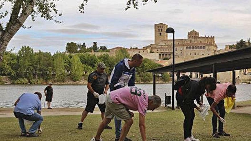 Miembros del Ayuntamiento y de la directiva de San Frontis recogen basura en Los Pelambres.