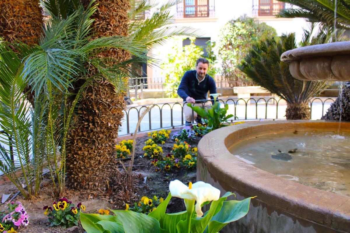 Adorno floral en el entorno de Santo Domingo.