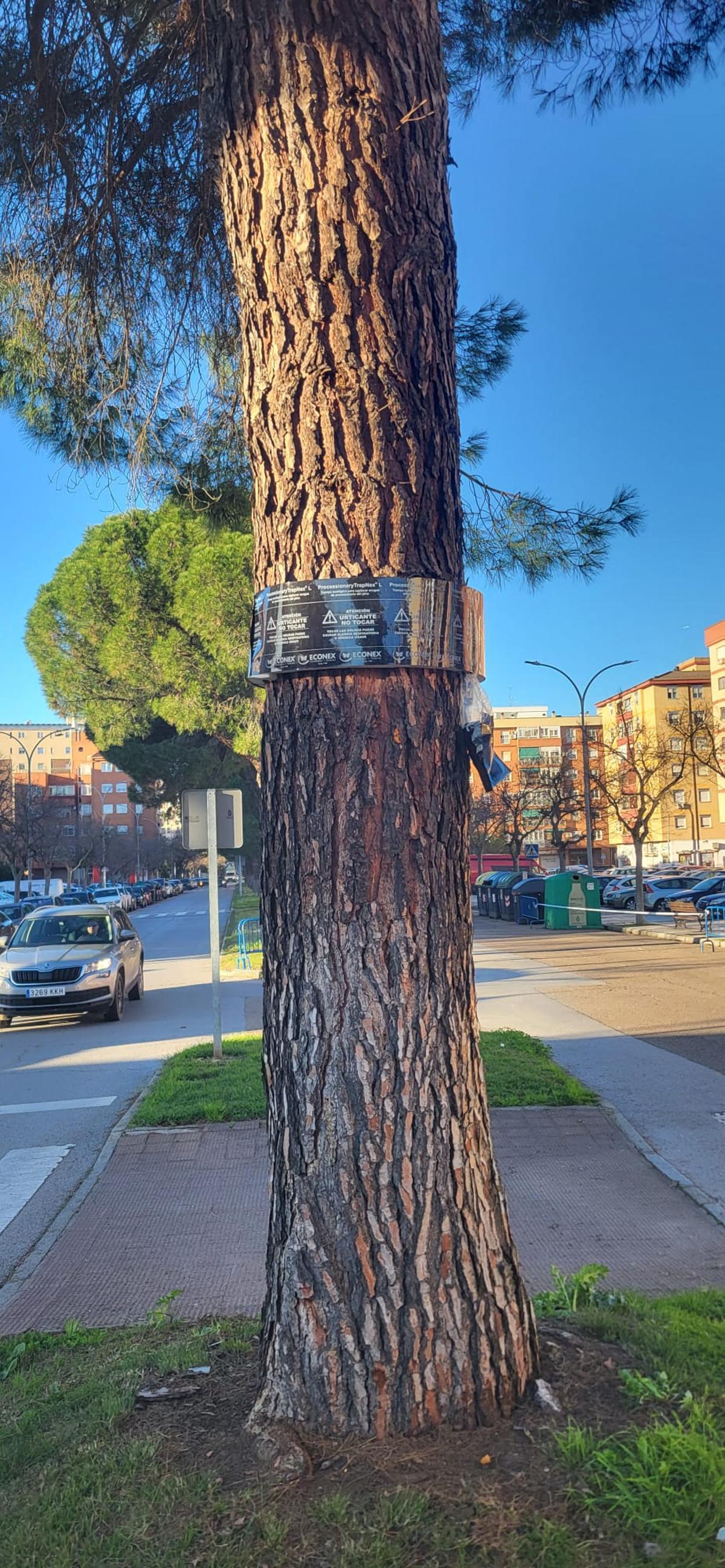 En la avenida Godofredo Ortega.