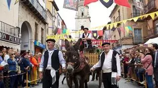 Toro ya huele a vino y cemento
