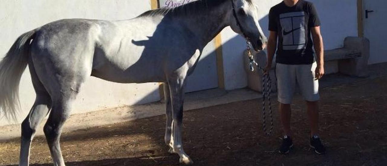 David García, junto a su caballo Teniente Drebin, en su cuadra.