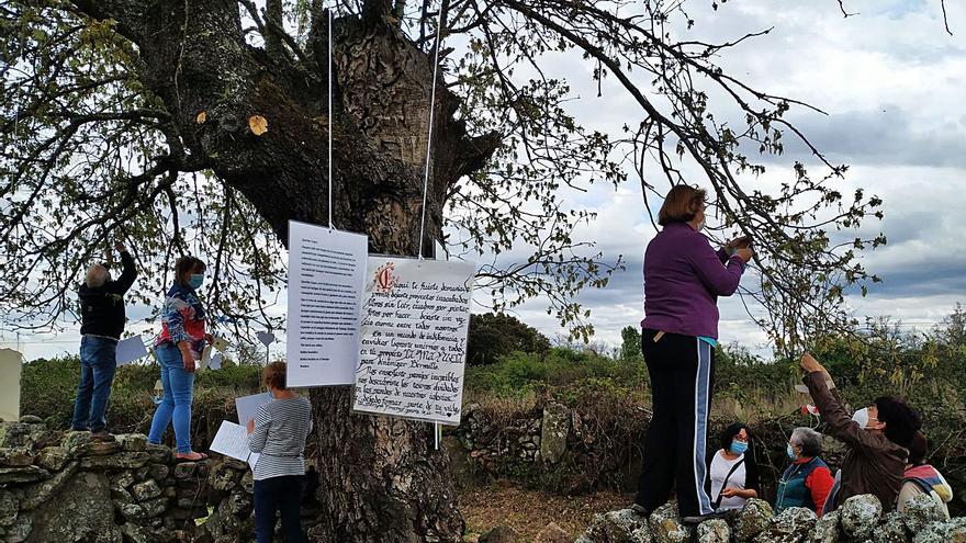 Cartas a &quot;Cuqui&quot; desde Sayago: “Añoraré tus pasos con temple tranquilo...”