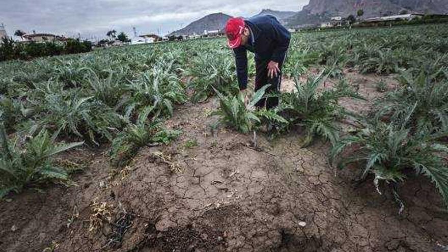 Los agricultores alegarán contra un decreto de sequía para evitar el expolio del agua