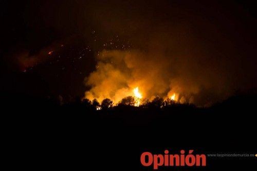 Incendio en la Zarcilla de Ramos