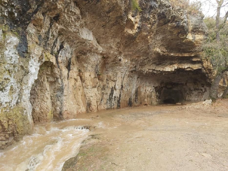 L'aigua a les Coves del Toll