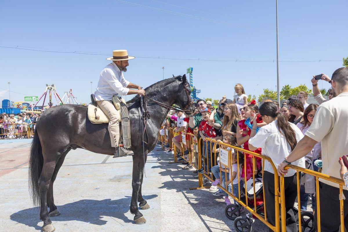 Desfile de carrozas y caballistas de la Feria de Mayo 2026 de Torrevieja este domingo
