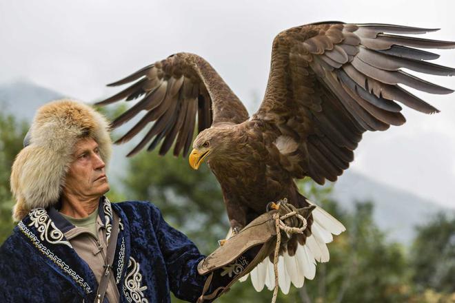 Kazakh eagle hunter