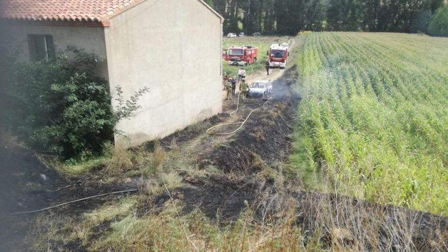 Bomberos de la DPT sofocan un incendio en la vega de San Blas que calcina 500 metros cuadrados