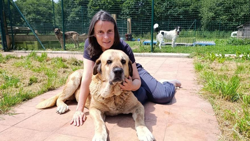 Alejandra Mier: &quot;Por suerte, hay menos abandonos de perros, aunque las adopciones descienden en verano&quot;