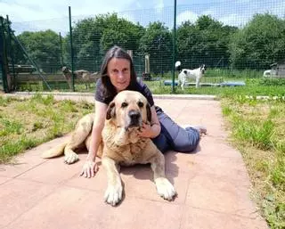 Alejandra Mier: "Por suerte, hay menos abandonos de perros, aunque las adopciones descienden en verano"