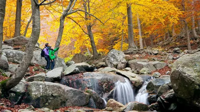 La ruta más bonita del otoño está a menos de una hora de Madrid: lago, embarcadero y hasta una sauna de madera