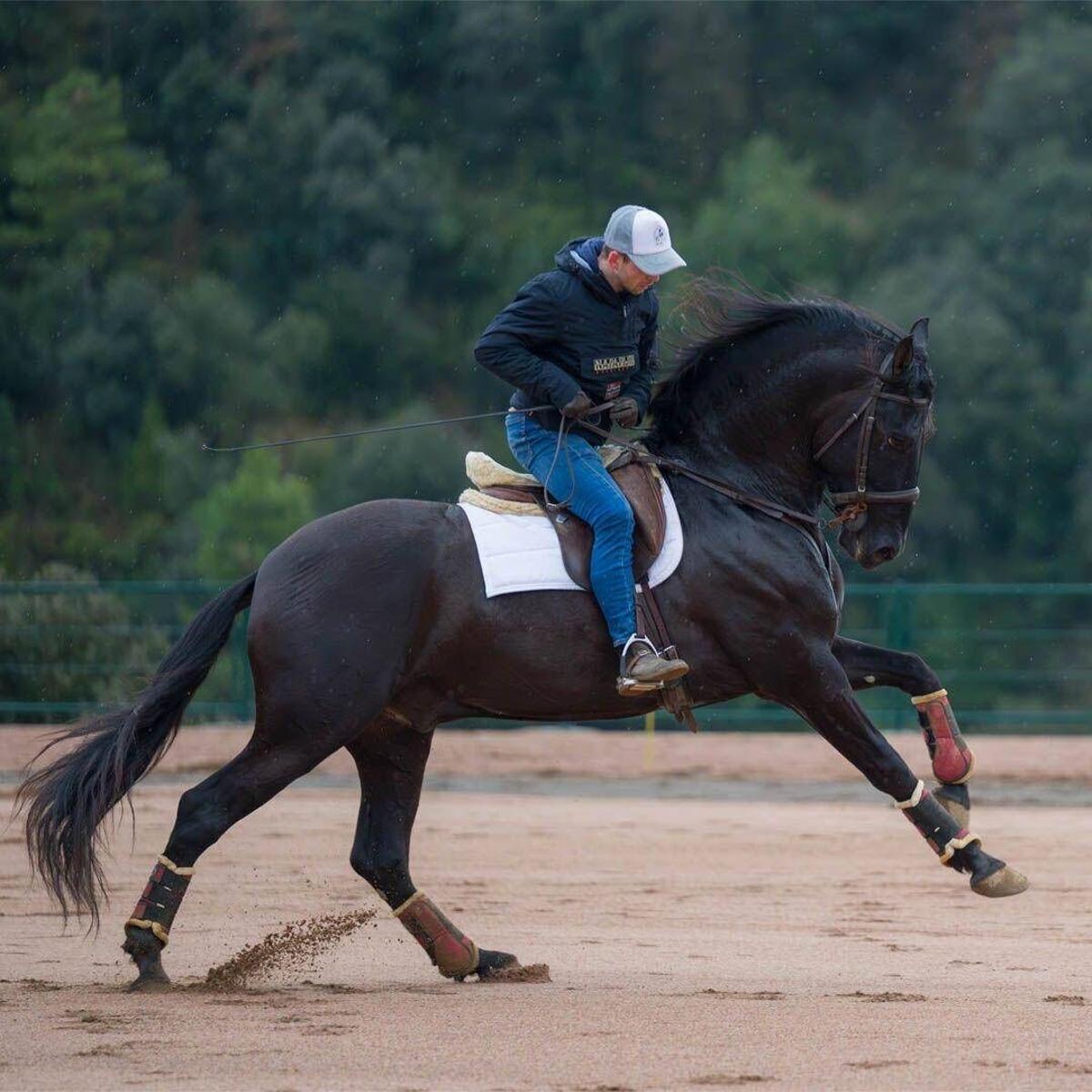 La Corrida en família d'aquest dissabte ha permès als més petits passejar en poni o ruc, participar en tallers i gaudir de demostracions de doma de cavalls.