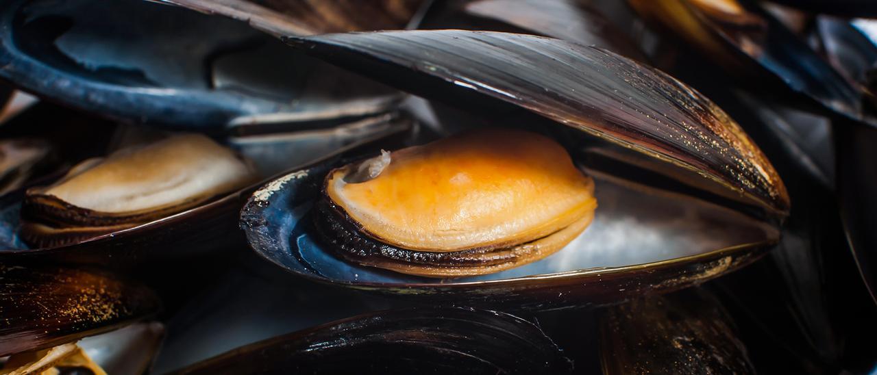mejillones