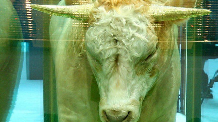 Imagen de archivo de Â´The Golden CalfÂ´, una de las obras de arte de Damien Hirst