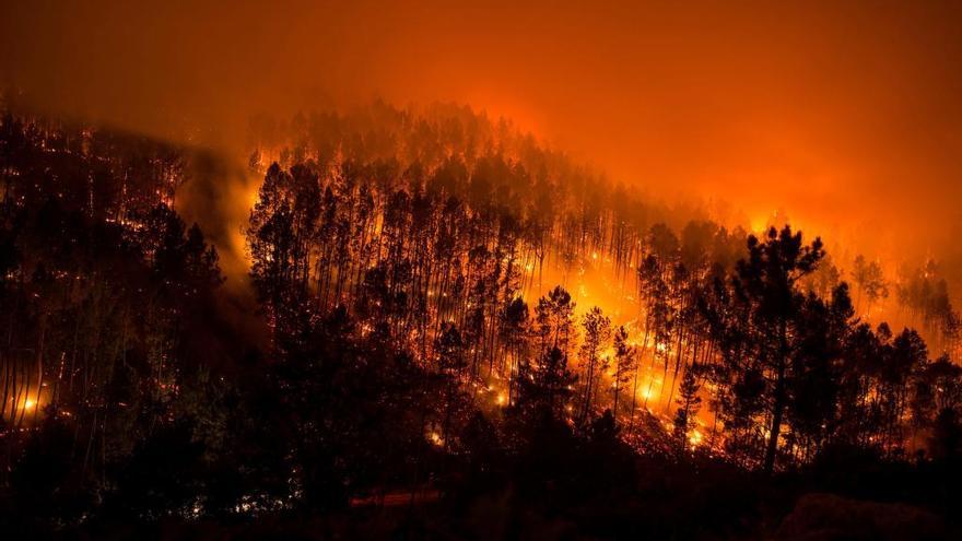 Vista de fuego en Lobios esta madrugada. // B. Lorenzo