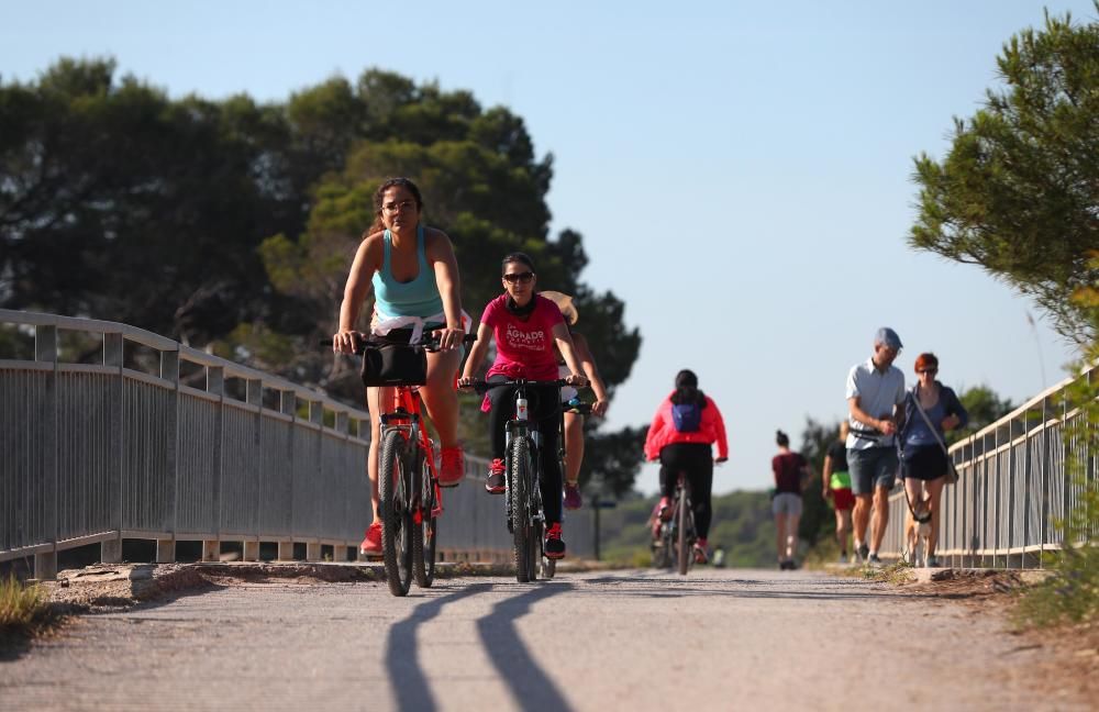 ciclistas rodando por la carretera de El Saler