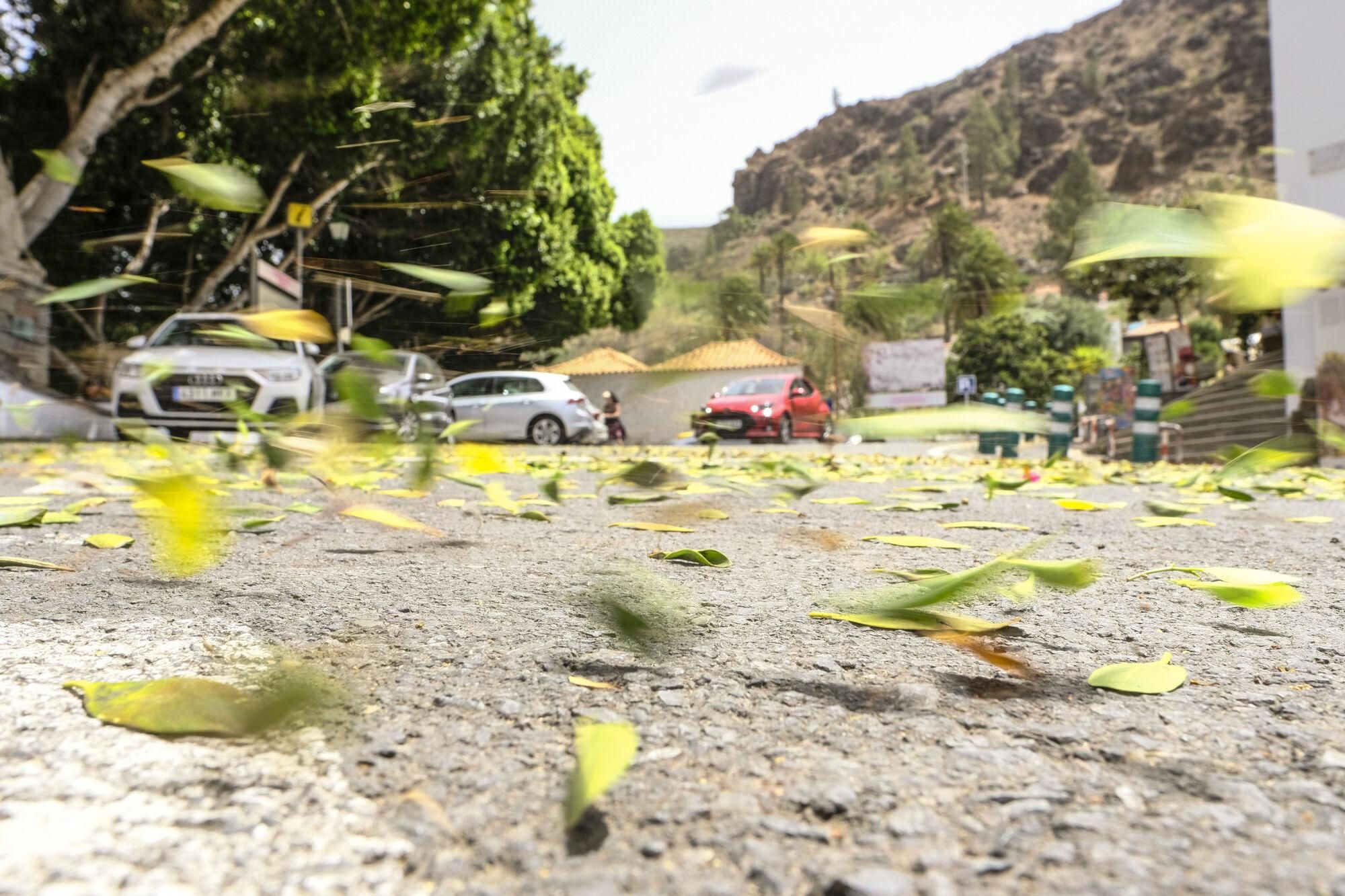 Intenso calor en Fataga (17/07/25)