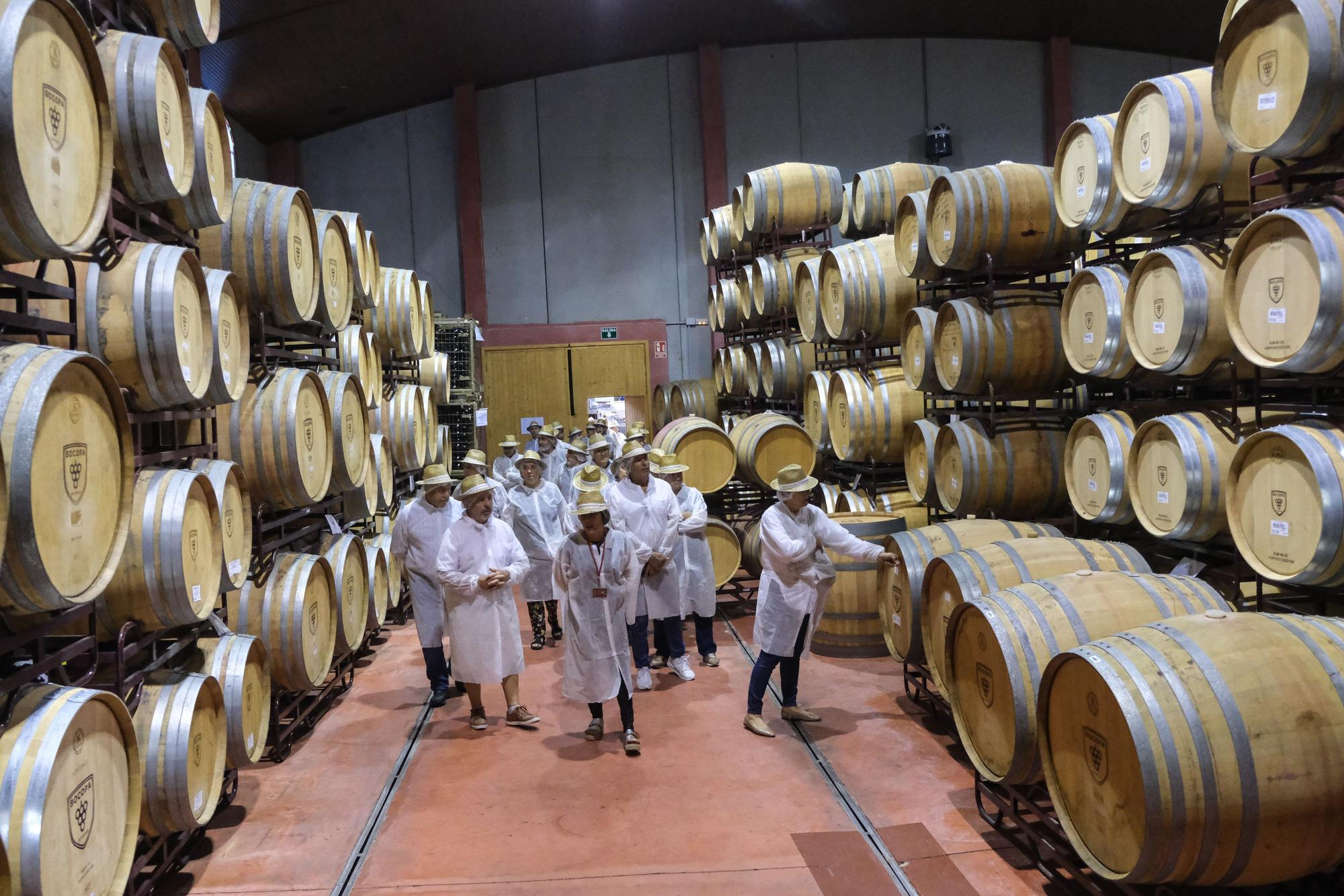 Así ha sido la jornada de puertas abiertas de Bodegas Bocopa