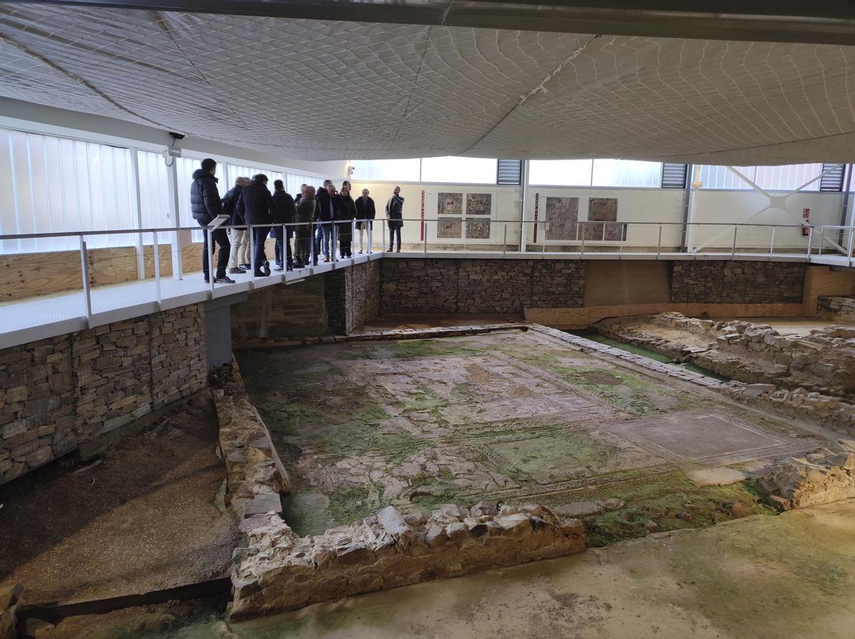 Un momento de la visita del consejero de Cultura, Gonzalo Santonja, a la villa romana de Camarza de Tera. En la imagen se puede ver el estado de los mosaicos.