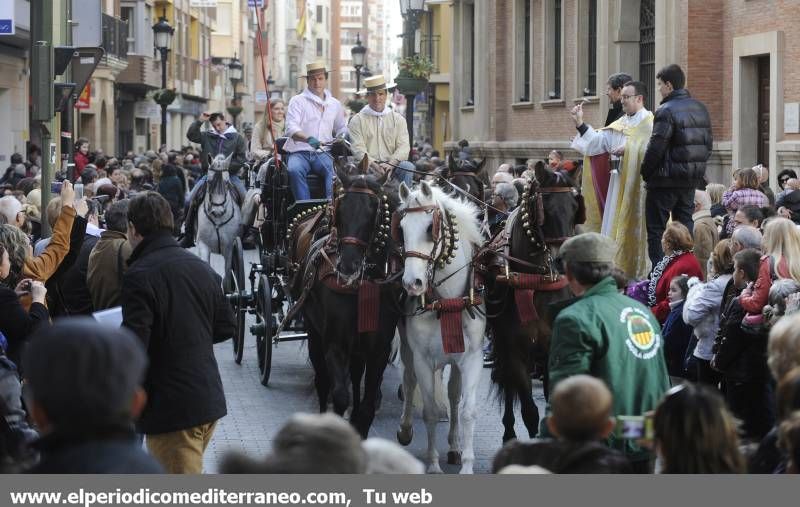 GALERÍA FOTOS - La provincia celebra Sant Antoni