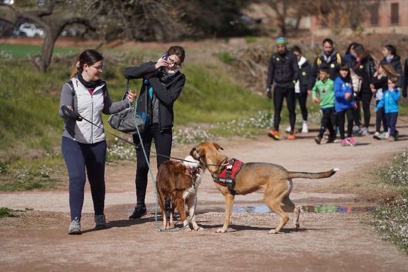 Transéquia 2024: Busca't a les fotos