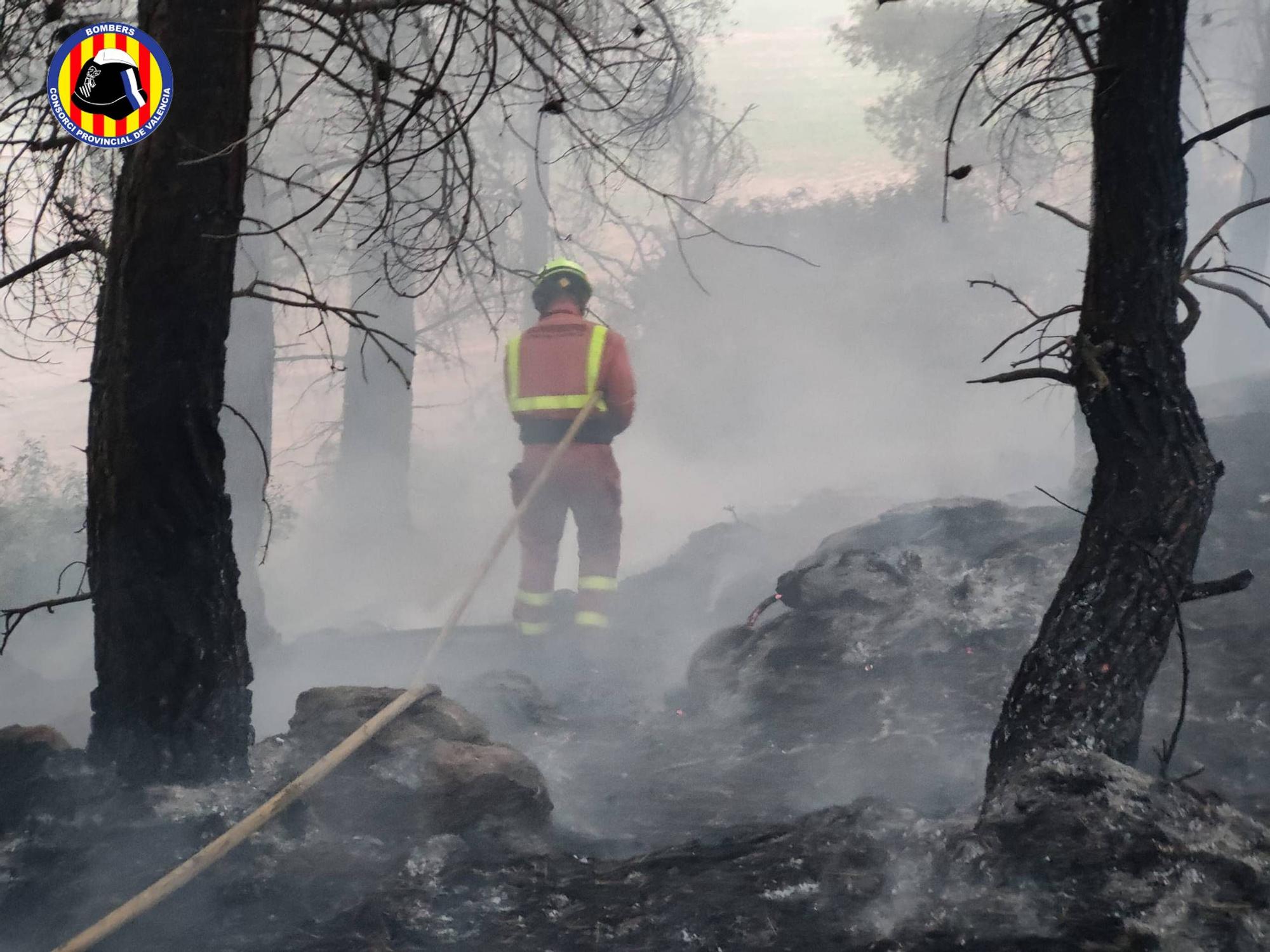 Incendio forestal en Venta del Moro