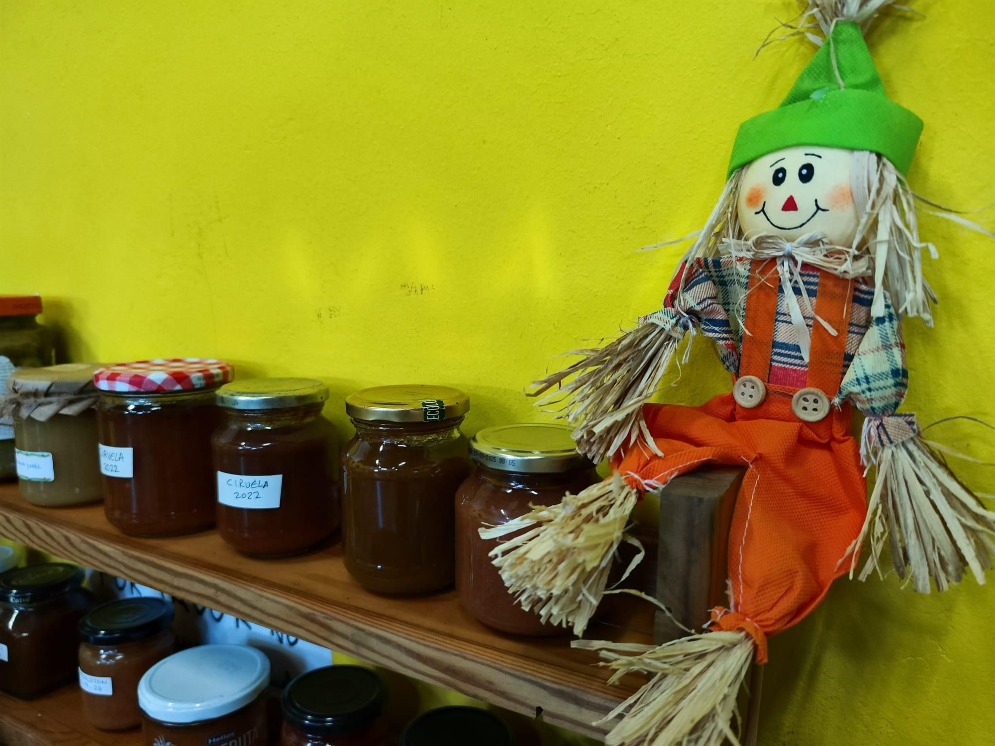 Quintes, entre hortalizas y plantas en una nueva exposición de la huerta