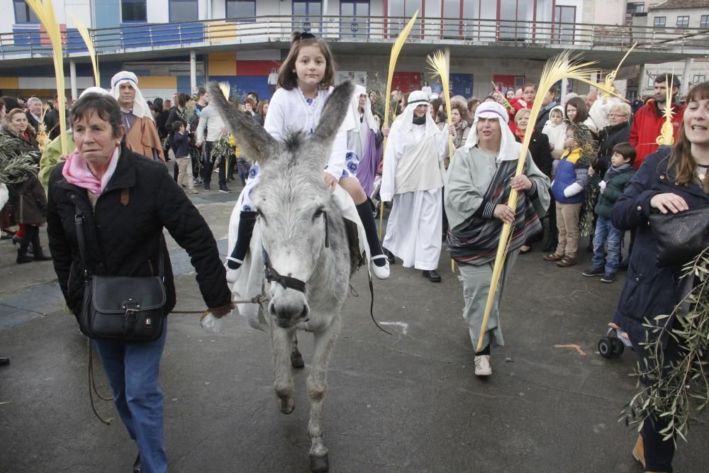 Semana Santa 2016 en Morrazo | Una mula, centro de todas las miradas en el Domingo de Ramos de Moaña